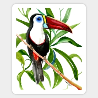 Toucan In the Jungle, White-Throated Toucan Sticker